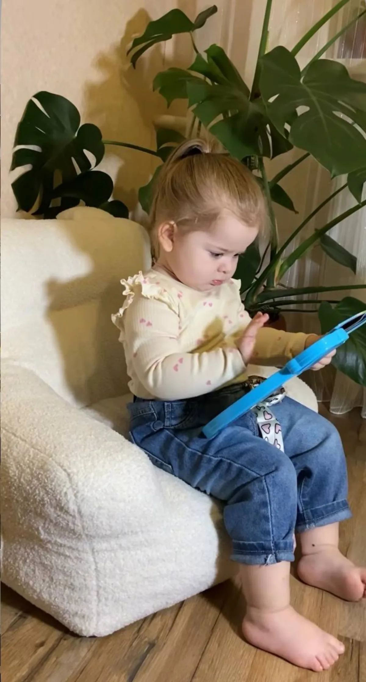 Teddy у клієнта MIZI